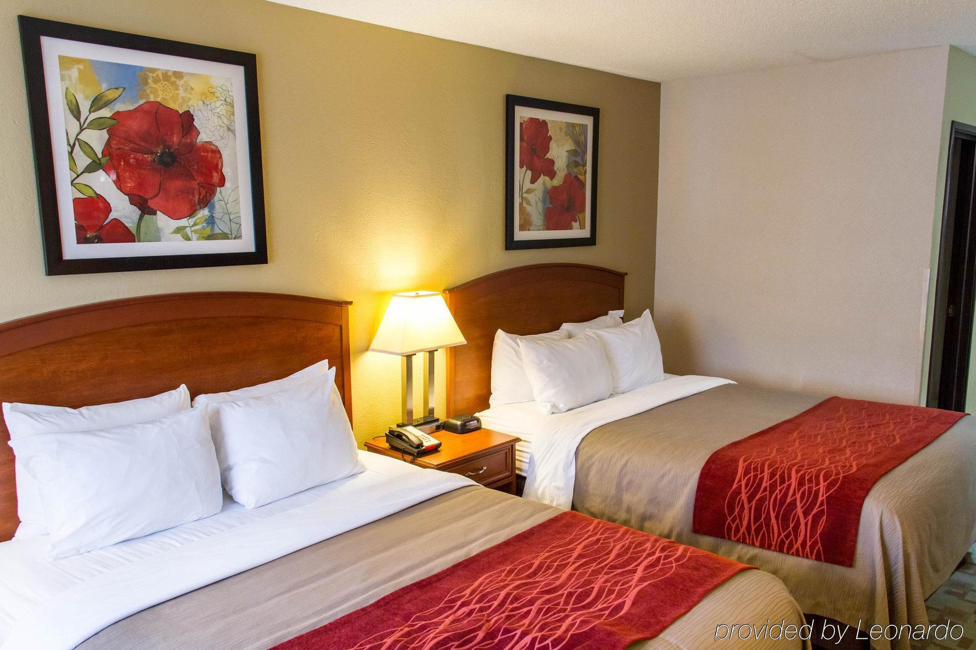 Comfort Inn Hastings Zewnętrze zdjęcie